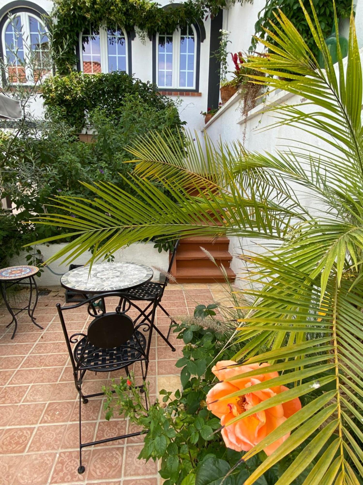 Patio Da Villa - Coruche Boutique Guest House Εξωτερικό φωτογραφία
