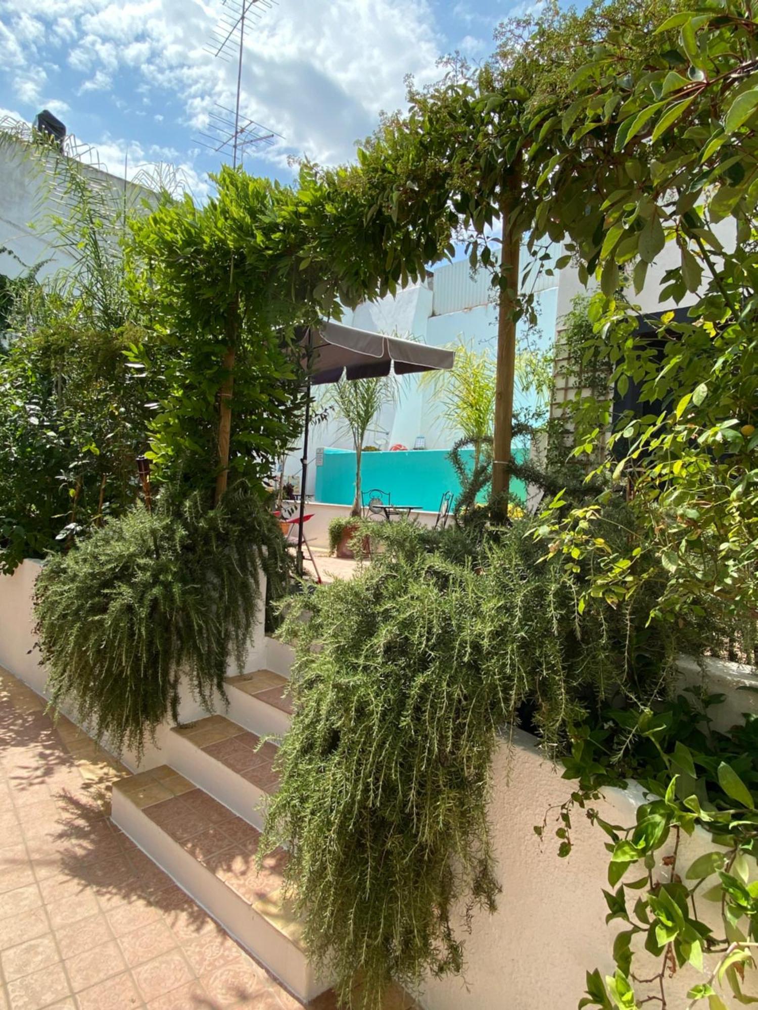 Patio Da Villa - Coruche Boutique Guest House Εξωτερικό φωτογραφία
